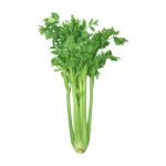 Stalks