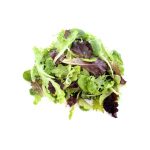 Mixed Salad Greens